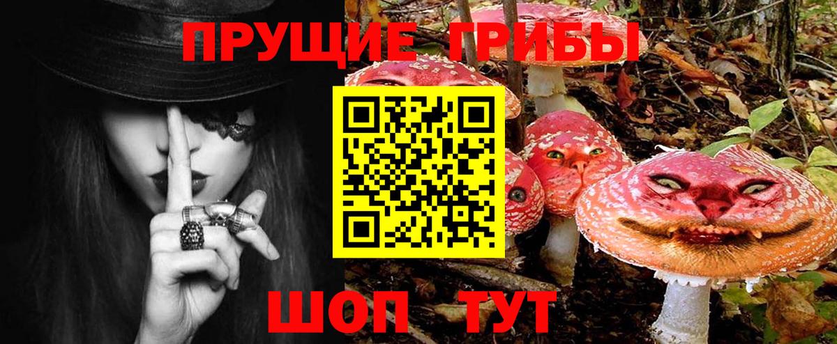 Петропавловск-Камчатский  Псилоцибиновые грибы мухоморы  Вход с VPN 