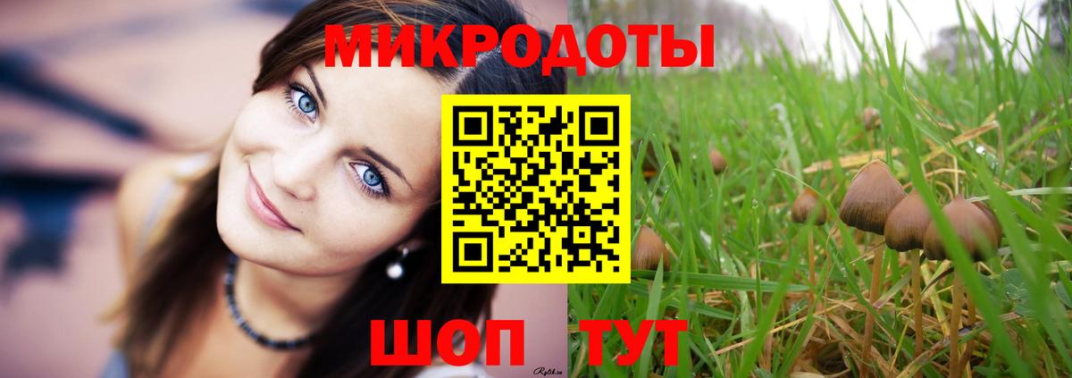 Псилоцибиновые грибы MAGIC MUSHROOMS Петропавловск-Камчатский